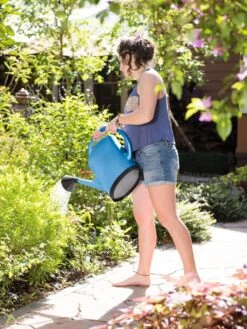 French Blue Watering Can -US Organic Seed Sales Store 06341 1341 tif