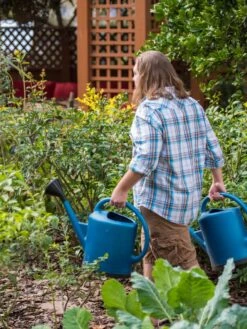 French Blue Watering Can -US Organic Seed Sales Store 06341 1390 tif