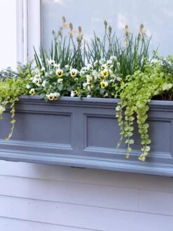 Fairfield Self-Watering Window Box, 3’ -US Organic Seed Sales Store 39 344 9360 tif