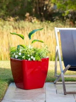 Viva Square Self-Watering Rolling Planter, 20" Diameter, Set Of 2 -US Organic Seed Sales Store 3 4 crop 8612930 0035 tif