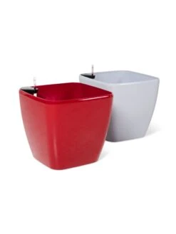 Viva Square Self-Watering Rolling Planter, 20" Diameter, Set Of 2 -US Organic Seed Sales Store 3 4 crop 8612930 0104