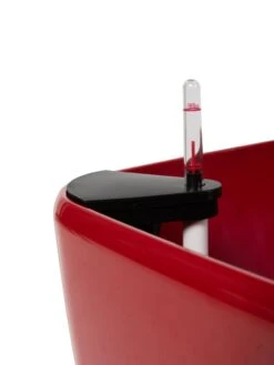 Viva Square Self-Watering Rolling Planter, 20" Diameter, Set Of 2 -US Organic Seed Sales Store 3 4 crop 8612930 0107