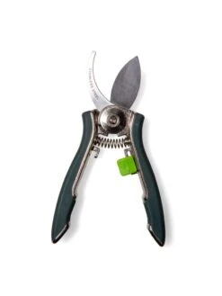 Houseplant Pruner -US Organic Seed Sales Store 3 4 crop 8612961 0011