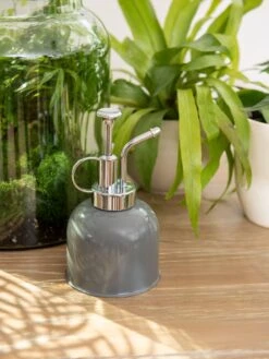 Indoor Plant Mister -US Organic Seed Sales Store 3 4 crop 8612962 0049