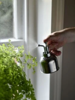 Indoor Plant Mister -US Organic Seed Sales Store 3 4 crop 8612962 02V tif