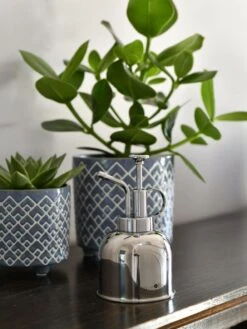 Indoor Plant Mister -US Organic Seed Sales Store 3 4 crop 8612962 03V tif