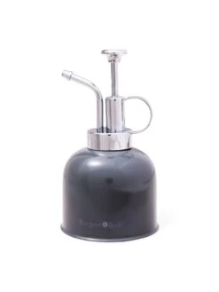 Indoor Plant Mister -US Organic Seed Sales Store 3 4 crop 8612962 3478