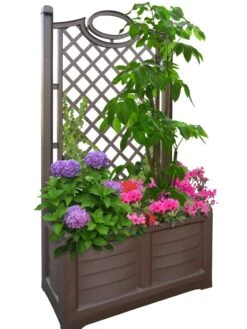 Separate Flower Box With Trellis 18 Separate Flower Box With Trellis -US Organic Seed Sales Store 3 4 crop 8613626 04V