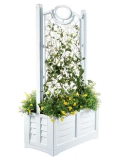Separate Flower Box With Trellis 17 Separate Flower Box With Trellis -US Organic Seed Sales Store 3 4 crop 8613626 14V