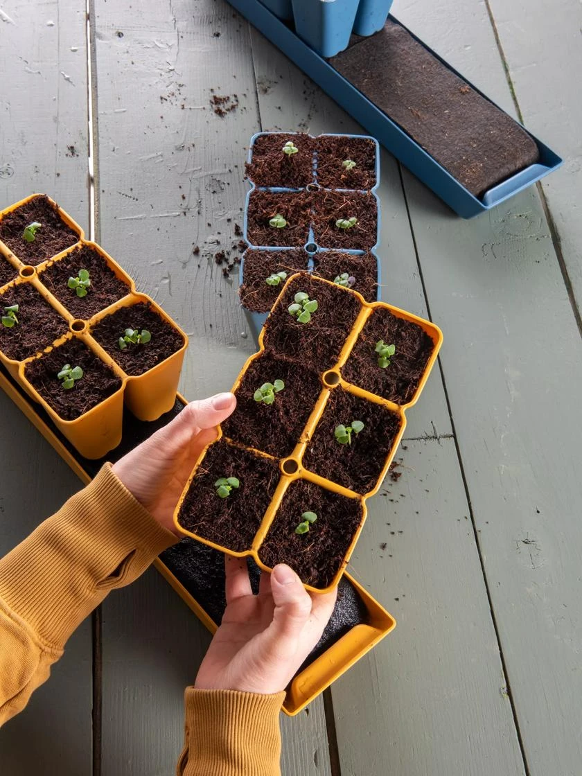 Gardener's Best® XL Seed Starting Kit 9 Gardener's Best® XL Seed Starting Kit - Image 9