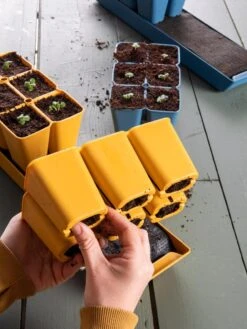 Gardener's Best® XL Seed Starting Kit 21 Gardener's Best® XL Seed Starting Kit -US Organic Seed Sales Store 40 135 6188