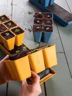 Gardener's Best® XL Seed Starting Kit 20 Gardener's Best® XL Seed Starting Kit -US Organic Seed Sales Store 40 135 6192 1