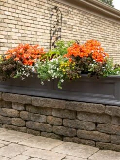 Fairfield Self-Watering Window Box, 5’ -US Organic Seed Sales Store 8588938 105V tif