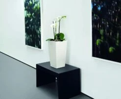 Lechuza® Cubico Color Tall Self-Watering Planters -US Organic Seed Sales Store 8589485 03V tif