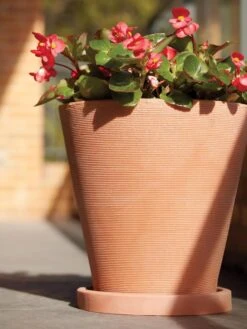 Universal Round Planter Saucers -US Organic Seed Sales Store 8589526 001V tif