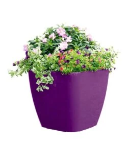 Viva Square Self-Watering Rolling Planter, 17.5" Diameter -US Organic Seed Sales Store 8589778PR 6126 tif