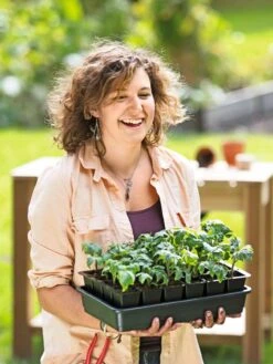 Growease Seed Starter Kit 16 Growease Seed Starter Kit -US Organic Seed Sales Store 8589987 0446 tif