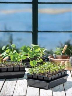 Growease Seed Starter Kit 19 Growease Seed Starter Kit -US Organic Seed Sales Store 8589987 7871 tif