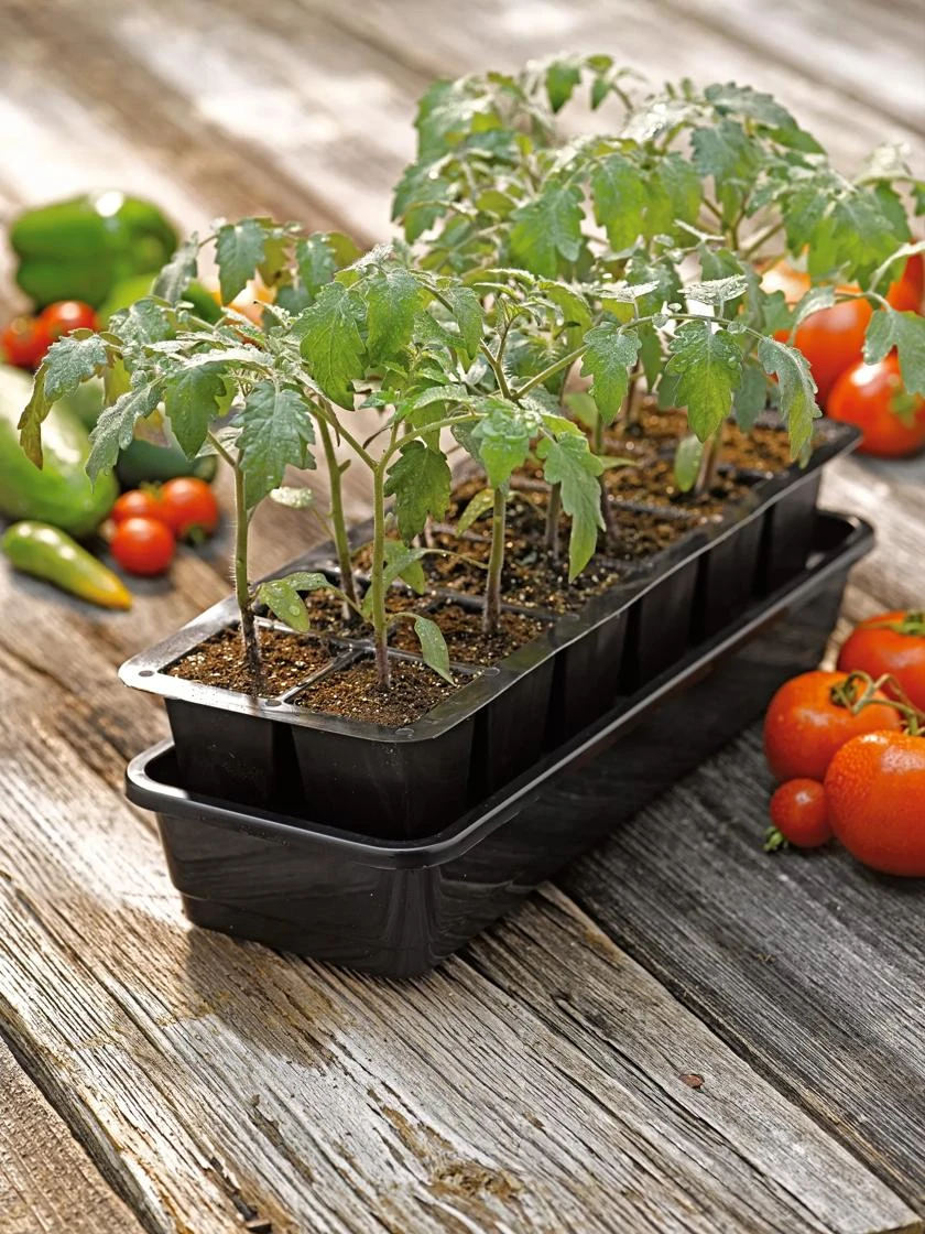 Growease Seed Starter Kit 3 Growease Seed Starter Kit - Image 3