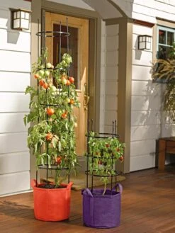 Gardener's Best® Tomato Grow Bag Set 7 Gardener's Best® Tomato Grow Bag Set -US Organic Seed Sales Store 8590013 170 tif