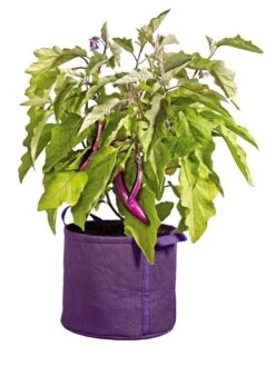 Gardener's Best® Universal Grow Bag -US Organic Seed Sales Store 8590024PR 214 tif