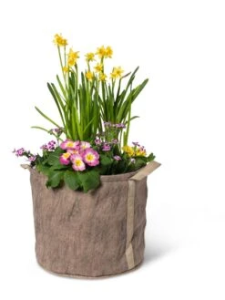 Gardener's Best® Universal Grow Bag -US Organic Seed Sales Store 8590024 7307 tif