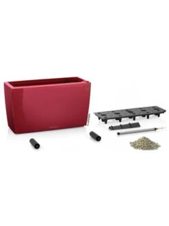Lechuza® Cararo Rectangular Indoor Planter With Casters 7 Lechuza® Cararo Rectangular Indoor Planter With Casters -US Organic Seed Sales Store 8590295 04v