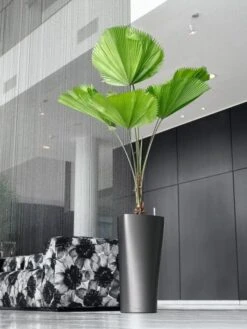 Lechuza® Delta Premium Self-Watering Planters -US Organic Seed Sales Store 8590299 02V tif