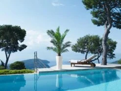 Lechuza® Delta Premium Self-Watering Planters -US Organic Seed Sales Store 8590299 04V tif