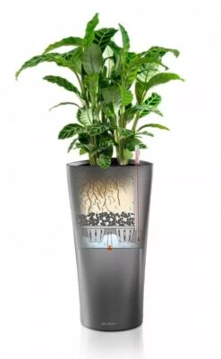 Lechuza® Delta Premium Self-Watering Planters -US Organic Seed Sales Store 8590299 05V tif