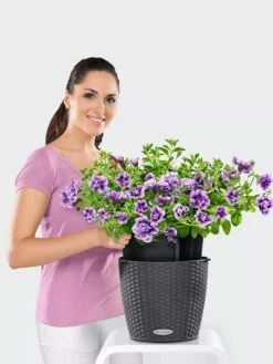 Lechuza® Nido Cottage Wicker Hanging Planter -US Organic Seed Sales Store 8591154GT 006V tif