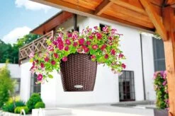 Lechuza® Nido Cottage Wicker Hanging Planter