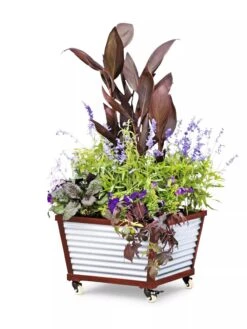 Galvanized Self-Watering Planters -US Organic Seed Sales Store 8592176 5067 tif