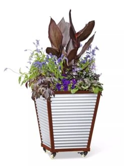 Galvanized Self-Watering Planters -US Organic Seed Sales Store 8592177 5066 tif