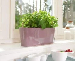 Lechuza® Delta Self-Watering Windowsill Planters -US Organic Seed Sales Store 8592361 01V tif