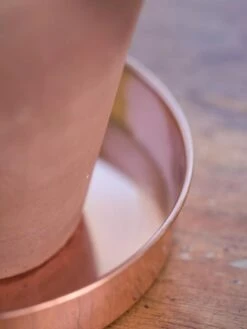 Extra Small Round Copper Plant Tray, 8" -US Organic Seed Sales Store 8593528 4529 tif