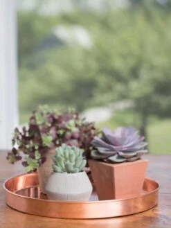 Large Round Copper Plant Tray, 14" -US Organic Seed Sales Store 8593531 4518 tif