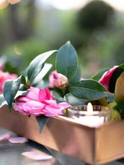 Rectangular Copper Plant Tray, 18"x4" -US Organic Seed Sales Store 8593532 02IN tif