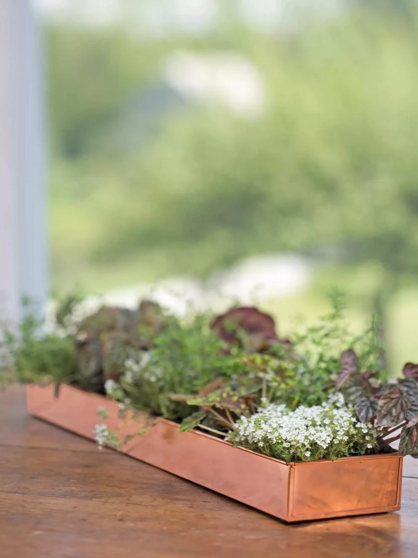 Rectangular Copper Plant Tray, 24" X 5" 3 Rectangular Copper Plant Tray, 24" X 5" - Image 3