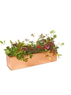 Tall Rectangular Copper Plant Tray, 18" X 5" X 4" -US Organic Seed Sales Store 8593534 2899 tif