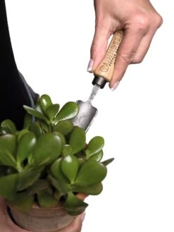 Gardener's Lifetime Mini Trowel -US Organic Seed Sales Store 8594146 0111 tif