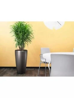 Lechuza® Rondo Self-Watering Planters -US Organic Seed Sales Store 8594586 02V tif