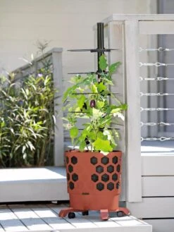 Gardener's Revolution® Tomato Planter -US Organic Seed Sales Store 8594743 2618 tif
