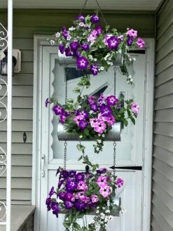 Galvanized Hanging Triple Planter -US Organic Seed Sales Store 8595213 02CUST tif