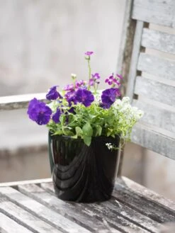 Viva Round Self-Watering Planter, 7" Diameter -US Organic Seed Sales Store 8595222 1140 tif