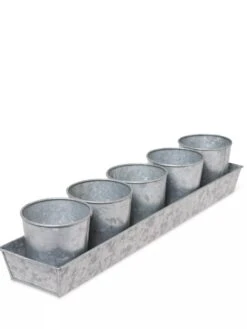 Galvanized Herb Planters With Rectangular Tray -US Organic Seed Sales Store 8595903 3924 tif