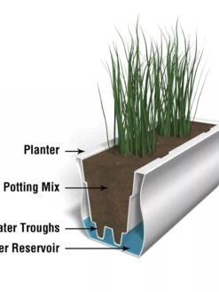 Valencia Window Box, 3' -US Organic Seed Sales Store 8596436 17V tif 1