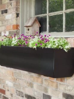 Valencia Window Box, 4' 10 Valencia Window Box, 4' -US Organic Seed Sales Store 8596437 001V tif