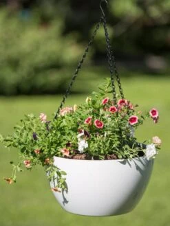 Viva Self-Watering Hanging Basket, 14" Diameter -US Organic Seed Sales Store 8596442 0864 tif