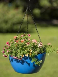 Viva Self-Watering Hanging Basket, 14" Diameter -US Organic Seed Sales Store 8596442 0876 tif